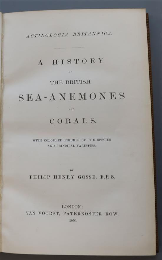 Gosse, Philip Henry - Actinologia Britannica. A History of the Sea-Anemones and Corals, 1st edition, 8vo, calf gilt,